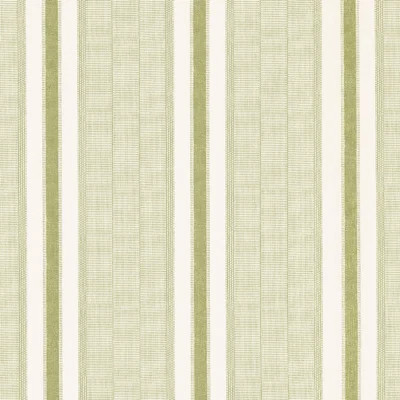 Schumacher x A Rum Fellow Ipala Stripe Vinyl Wallpaper | Perigold