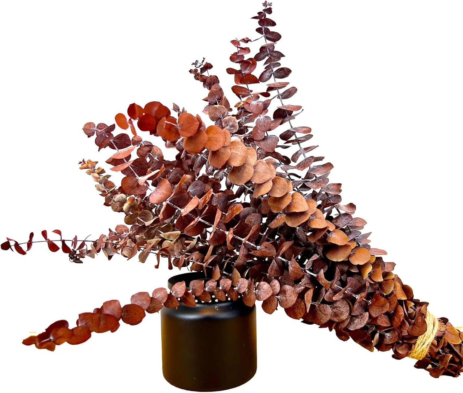 20pcs Dried Eucalyptus Stems Orange Fall Decor | Wayfair North America