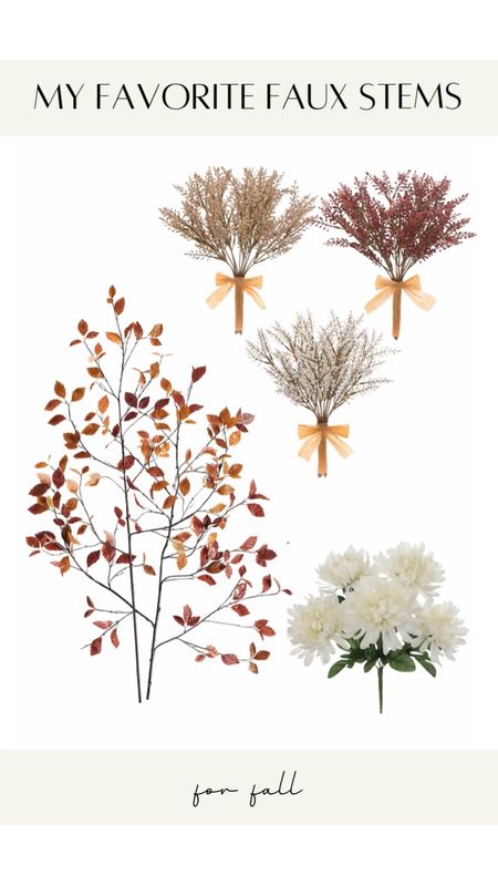 The Best Faux Stems for Fall | Faux White Berried | Faux Mums | Faux Leaf Leaves Branches


#LTKSeasonal #LTKhome