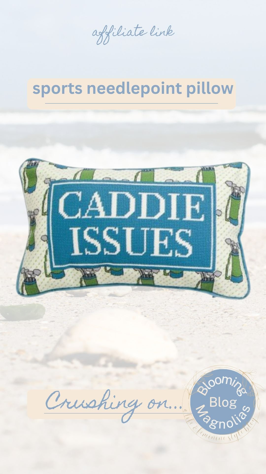 Funny sports-themed needlepoint pillow 

 