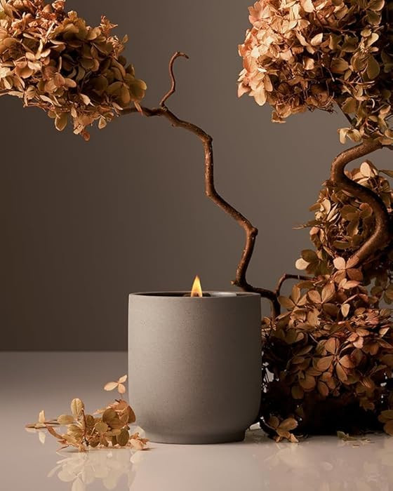Homecourt Luxury Scented Candle, Cece Scent, 60-Hour Burn Time, Soy Wax Blend, Organic Cotton Wic... | Amazon (US)