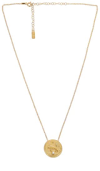 Redone Zodiac Vintage Necklace in Gold | Revolve Clothing (Global)