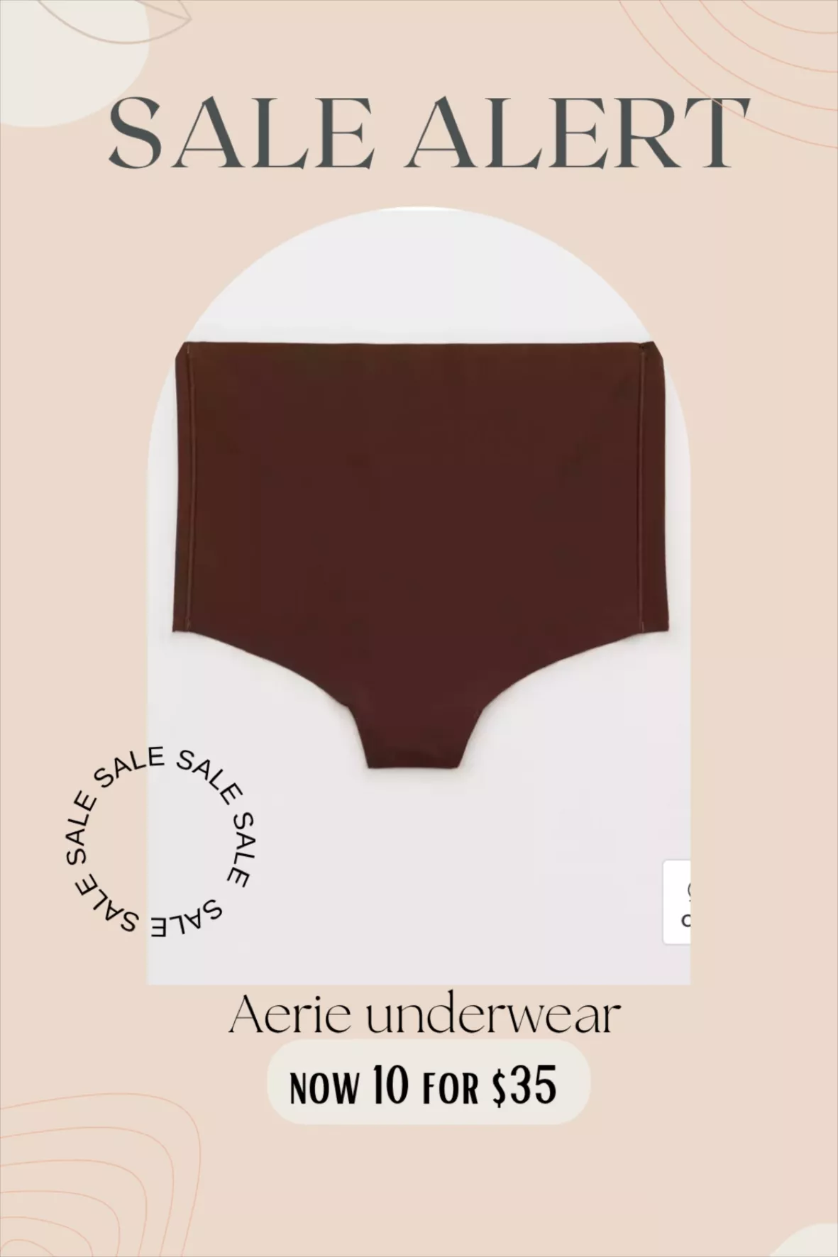 Aerie Pointelle High Cut Bikini Underwear