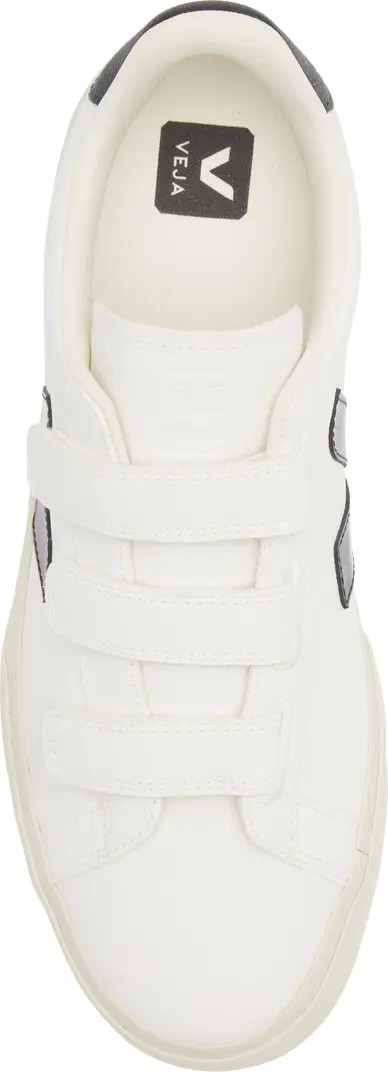 Recife Logo Sneaker (Men) | Nordstrom