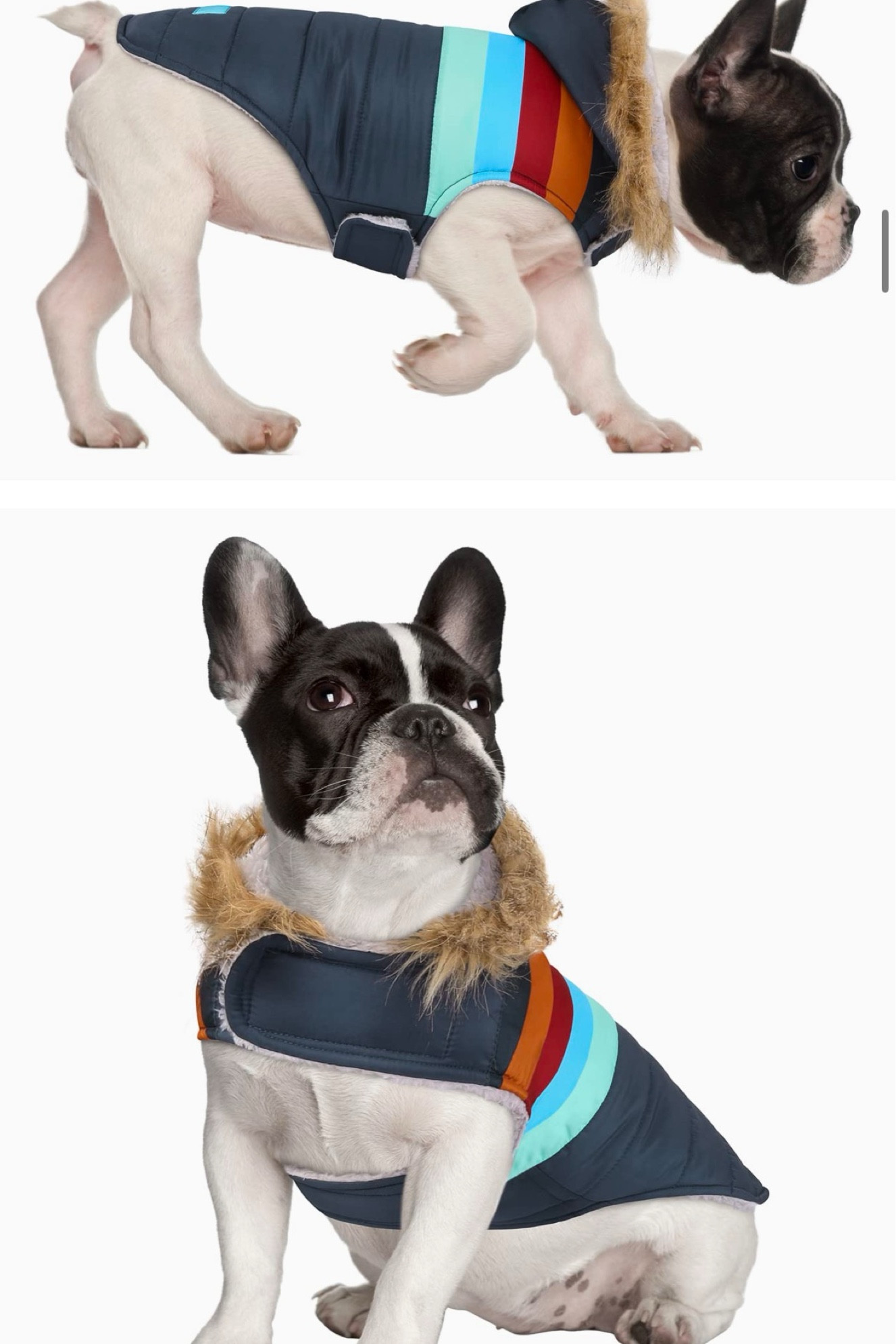 So cute for winter! ❄️ 

#LTKFindsUnder50 #LTKHoliday #LTKSeasonal