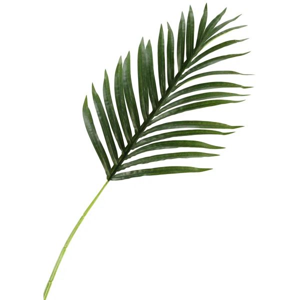 24'' Palm Leaf Stem | Wayfair North America
