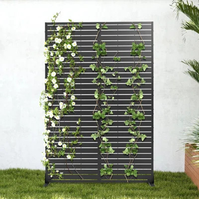 72" H Outdoor Privacy Screen, Freestanding Decorative Privacy Panels for Balcony, Yard & Garden | Wayfair North America