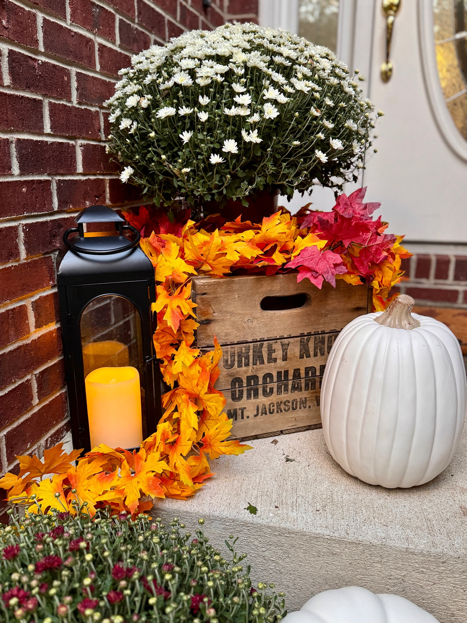 Fall Porch

Black outdoor lanterns, glass lanterns, white pumpkins, faux fall leaves, battery operated candles, outdoor candles, fall home decor 