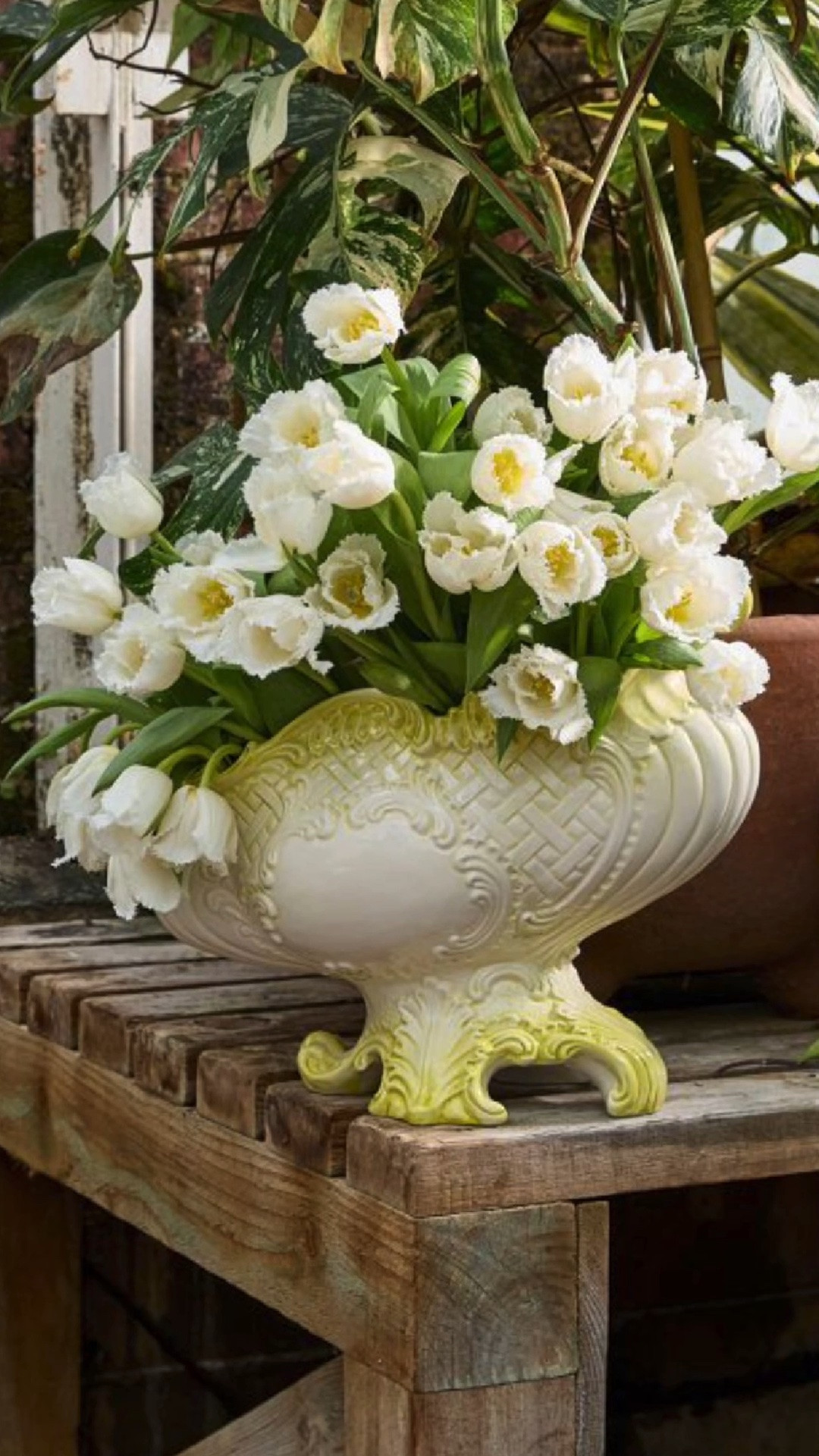 Some pieces never go out of style. This hand-painted Italian vase, inspired by archival botanical artwork from the New York Botanical Garden, is the kind of statement piece that instantly elevates a room. Classic, elegant, and destined to become an heirloom.

#LTKHome #LTKSeasonal
