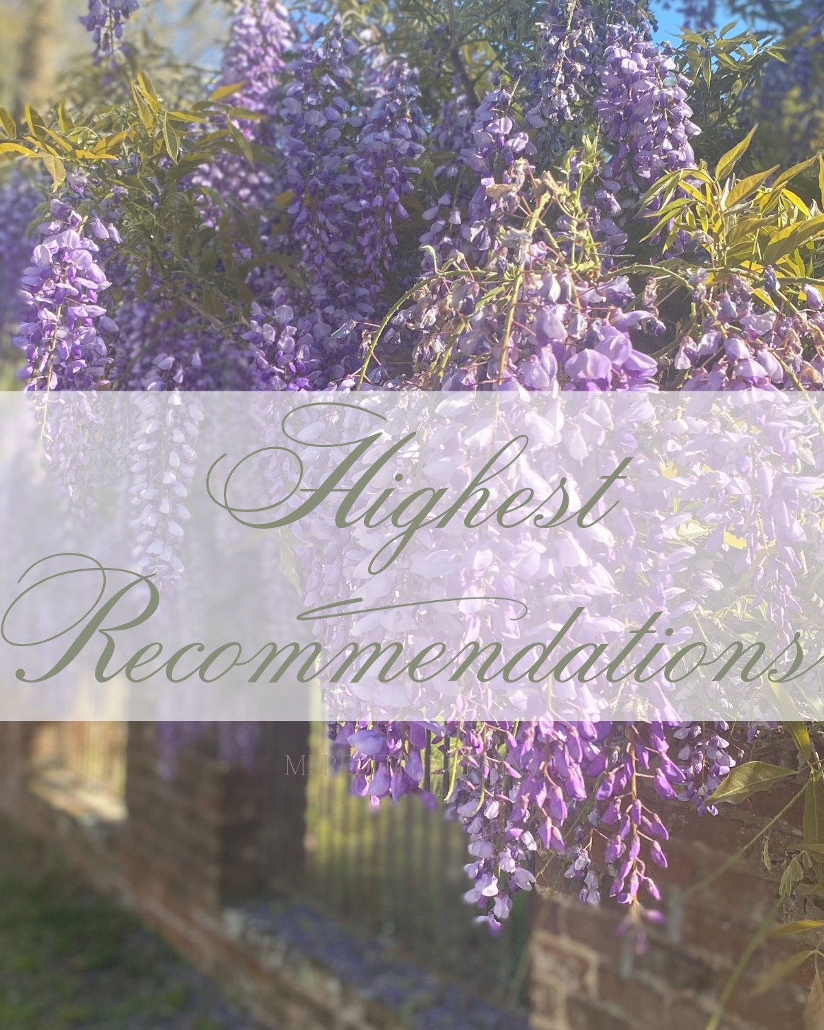 These are some of my absolute favorite finds I've found over the last 5 years of working here on IG. I know you'll absolutely love them too! 

#LTKHome #LTKSaleAlert #LTKFindsUnder50