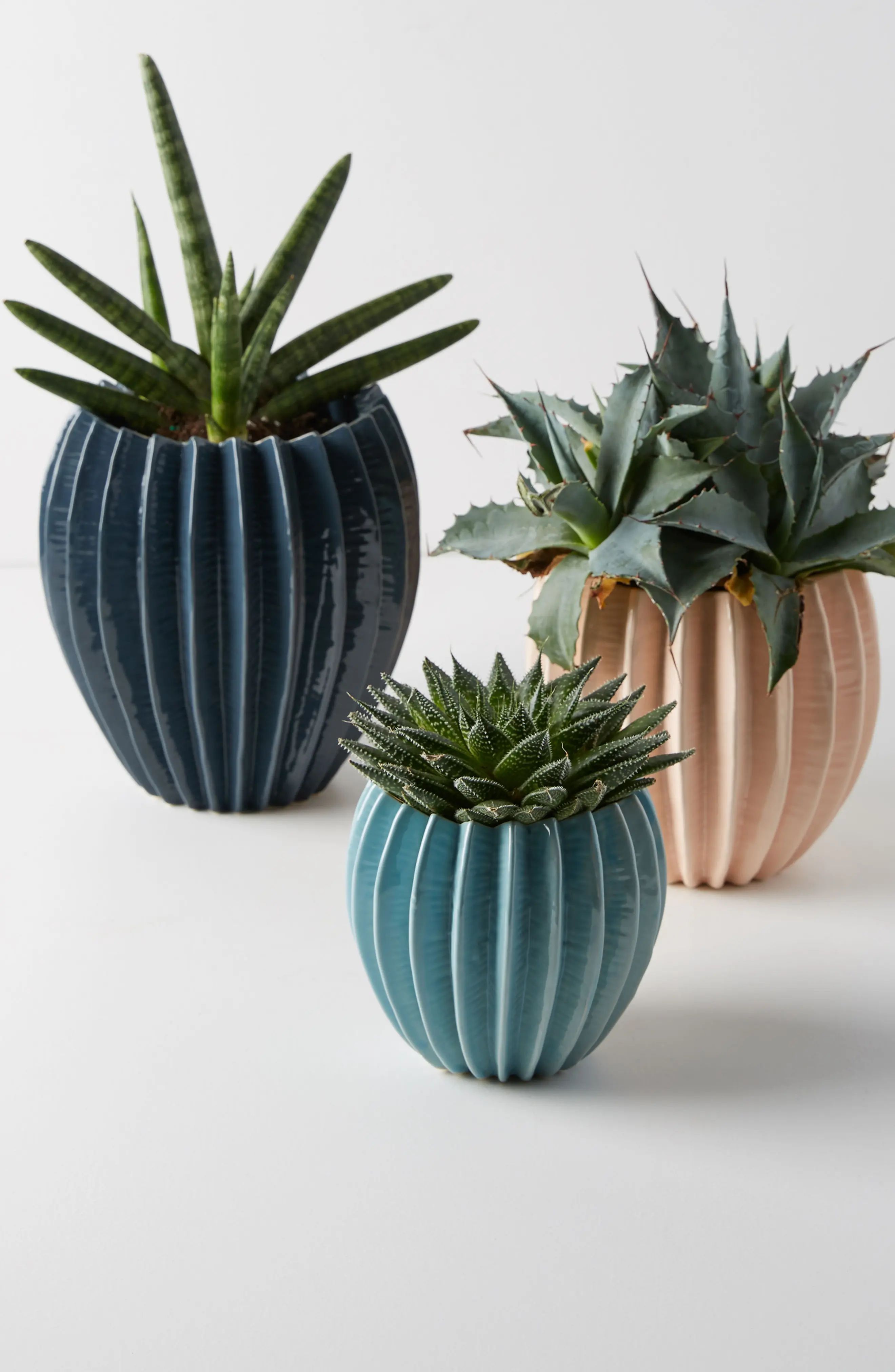 Ridged Pot | Nordstrom