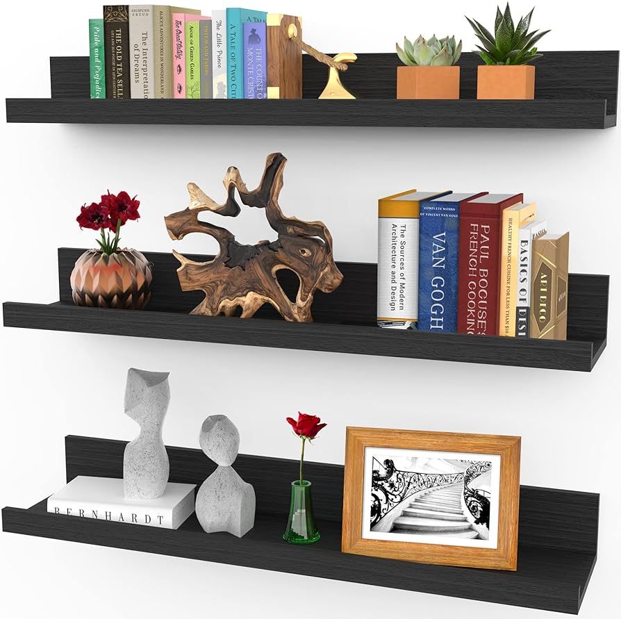 Icona Bay 24 Inch Floating Shelves for Wall, Set of 3 in Ebony Black, Modern Rustic Style, Wall M... | Amazon (US)