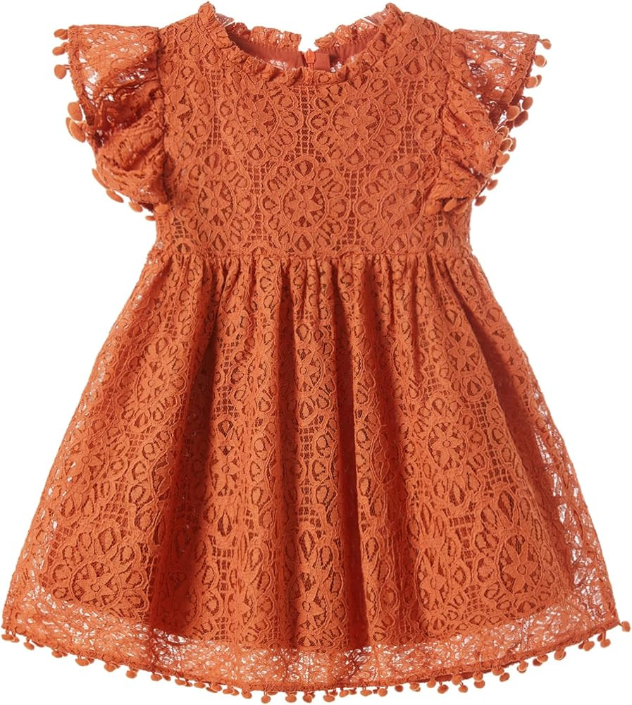 Niyage Toddler Girls Elegant Lace Pom Pom Flutter Sleeve Party Princess Dress | Amazon (US)