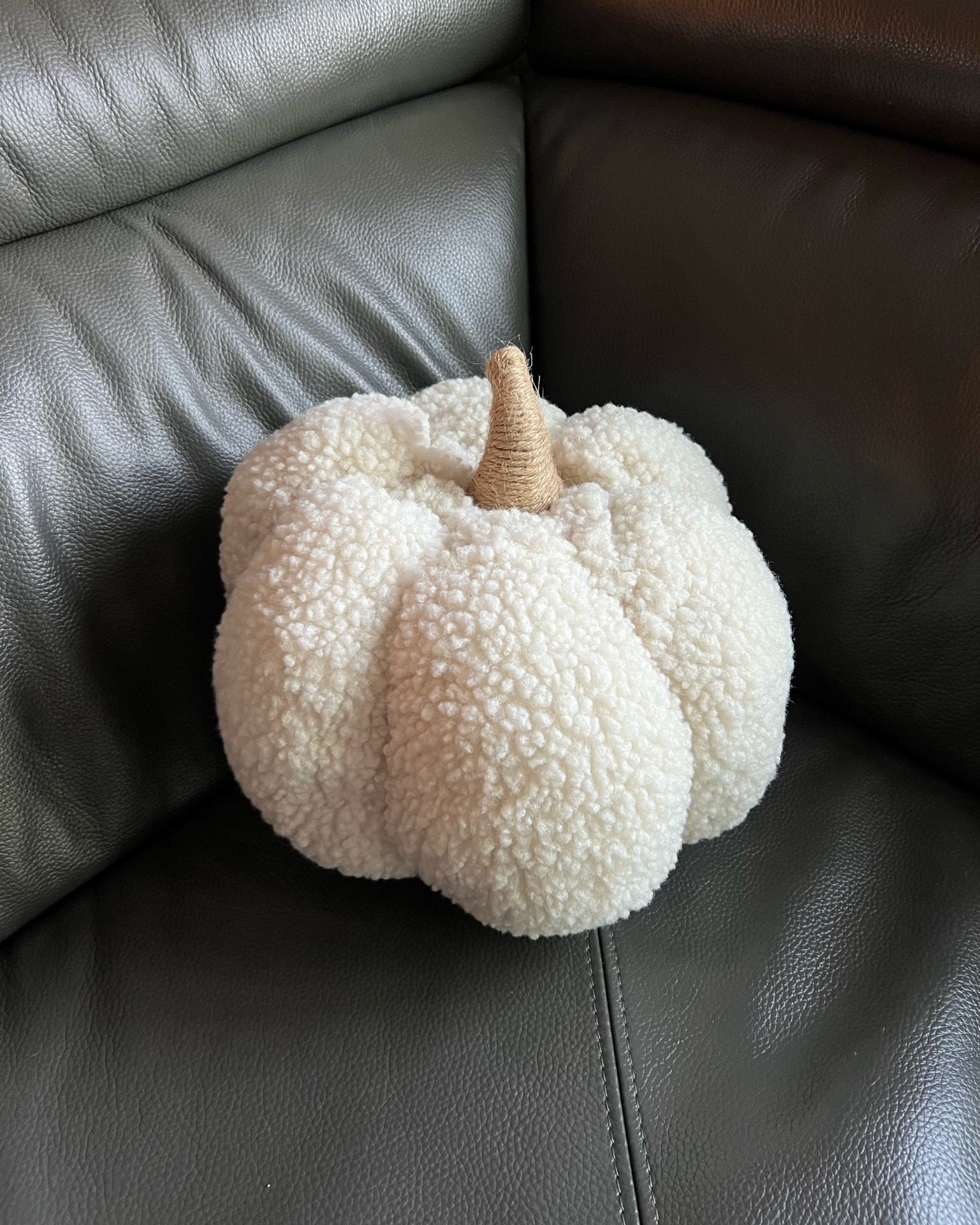 Sherpa pumpkin for fall / fall decor / fleece pumpkin / white pumpkin 

#LTKHome #LTKSeasonal