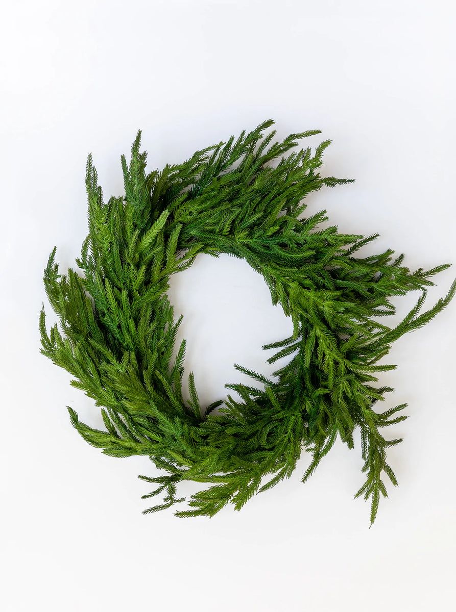 Norfolk Pine Wreath | Cottonwood Company