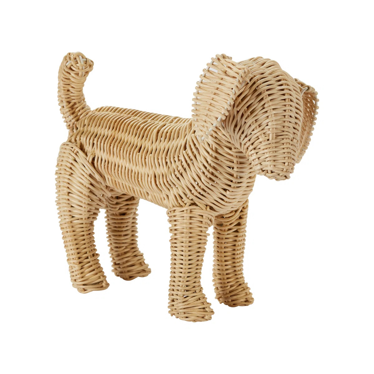 Little Potcake | Wayfair North America