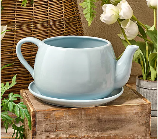 Marigold Ceramic Teapot and Saucer Planter with Gift Box - QVC.com | QVC