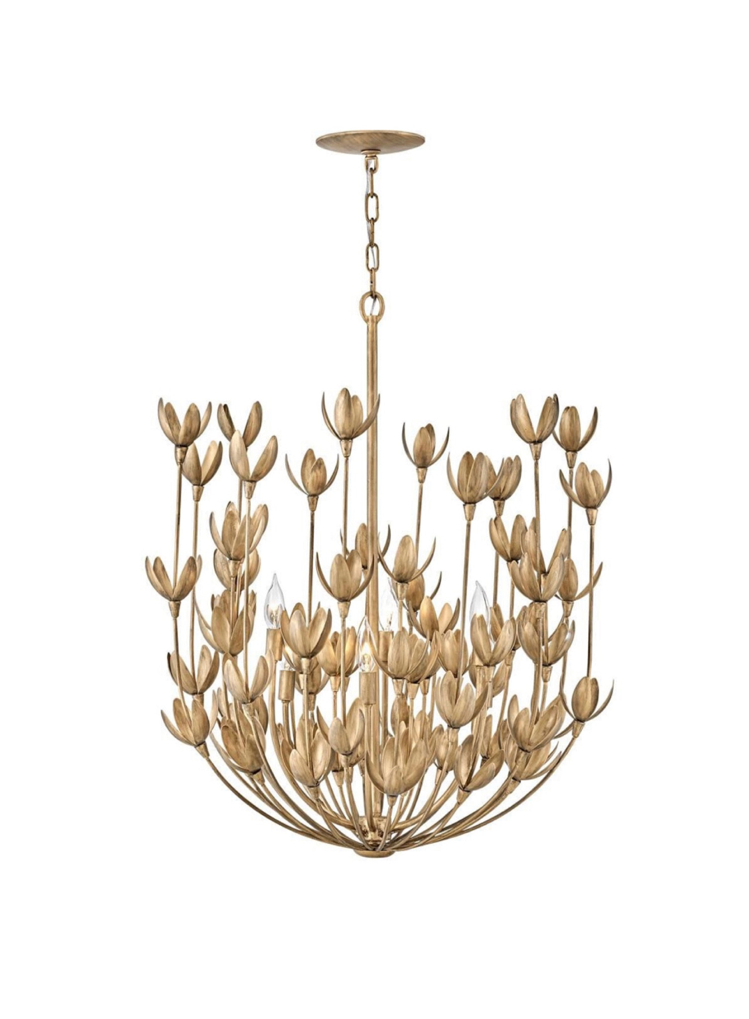 Flower chandelier 
Lighting 
Gold chandelier 
Home decor 

 #springoutfits #fallfavorites #LTKbacktoschool #fallfashion #vacationdresses #resortdresses #resortwear #resortfashion #summerfashion #summerstyle #LTKseasonal #rustichomedecor #liketkit #highheels #Itkhome #Itkgifts #Itkgiftguides #springtops #summertops #Itksalealert
#LTKRefresh #fedorahats #bodycondresses #sweaterdresses #bodysuits #miniskirts #midiskirts #longskirts #minidresses #mididresses #shortskirts #shortdresses #maxiskirts #maxidresses #watches #backpacks #camis #croppedcamis #croppedtops #highwaistedshorts #highwaistedskirts #momjeans #momshorts #capris #overalls #overallshorts #distressesshorts #distressedjeans #whiteshorts #contemporary #leggings #blackleggings #bralettes #lacebralettes #clutches #crossbodybags #competition #beachbag #halloweendecor #totebag #luggage #carryon # blazers #airpodcase #iphonecase #shacket #jacket #sale #under50 #under100 #under40 #workwear #ootd #bohochic #bohodecor #bohofashion #bohemian #contemporarystyle #modern #bohohome #modernhome #homedecor #amazonfinds #nordstrom #bestofbeauty #beautymusthaves #beautyfavorites #hairaccessories #fragrance #candles #perfume #jewelry #earrings #studearrings #hoopearrings #simplestyle #aestheticstyle #designerdupes #luxurystyle #bohofall #strawbags #strawhats #kitchenfinds #amazonfavorites #bohodecor #aesthetics #blushpink #goldjewelry #stackingrings #toryburch #comfystyle #easyfashion #vacationstyle #goldrings #fallinspo #lipliner #lipplumper #lipstick #lipgloss #makeup #blazers #LTKU #primeday
#StyleYouCanTrust #giftguide #LTKRefresh #LTKSale
#LTKHalloween #LTKFall #fall #falloutfits #backtoschool
#backtowork #LTKGiftGuide #amazonfashion #traveloutfit #familyphotos #liketkit #trendyfashion #fallwardrobe #winterfashion #christmas #holdavfavorites #ITKseasonal #grandmillennial #grandmillennialstyle 

#LTKFind #LTKhome