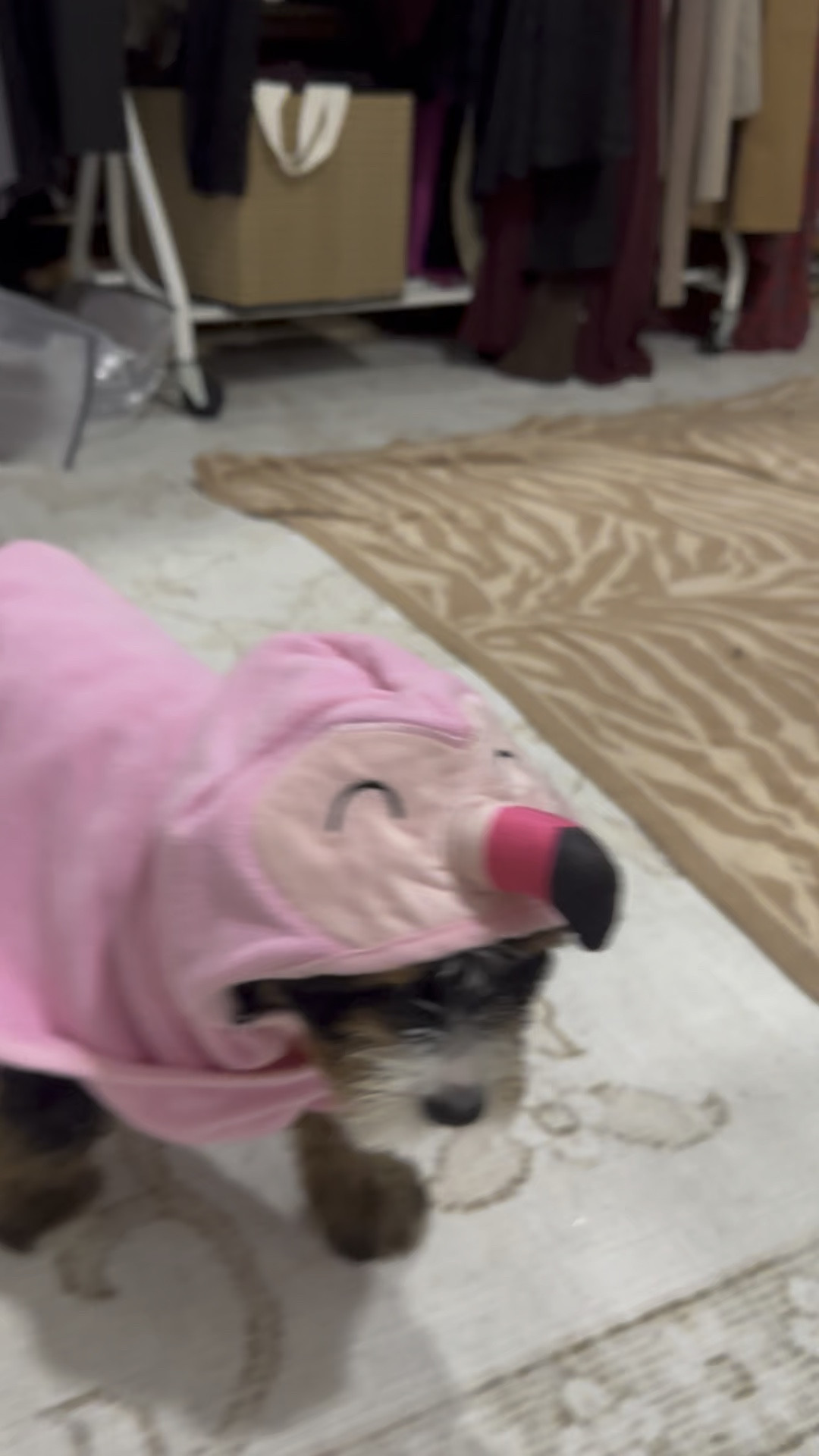 This flamingo-inspired bathrobe features a plush texture, soft pink fabric, and embroidered eye and beak details at the hood.
Wide hook-and-loop fastening around the belly allows for a secure, adjustable fit that’s also easy to put on and take off.
The soft terry cloth is machine washable so keeping it clean and ready to wear is a breeze.

#LTKFindsUnder50 #LTKHome #LTKselfcare