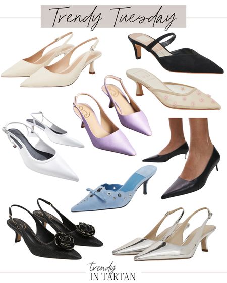 Trendy Tuesday- kitten heels!

Heels, shoes, pointed toe heels, black heels, nude heels, white heels, spring heelss

#LTKshoecrush #LTKstyletip #LTKSeasonal