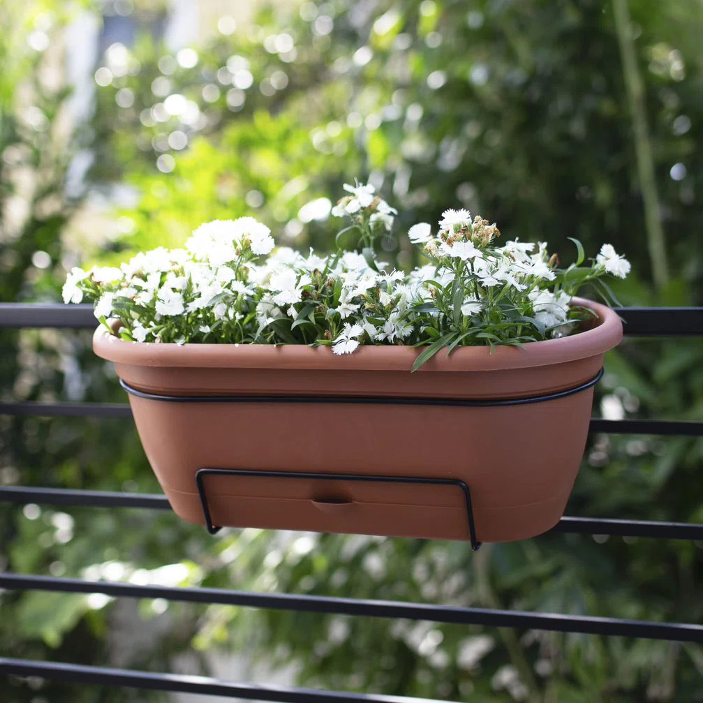 Lucca Self-Watering Plastic Indoor/Outdoor Oval Balcony Box Planter with Metal Hanging Bracket | Wayfair North America