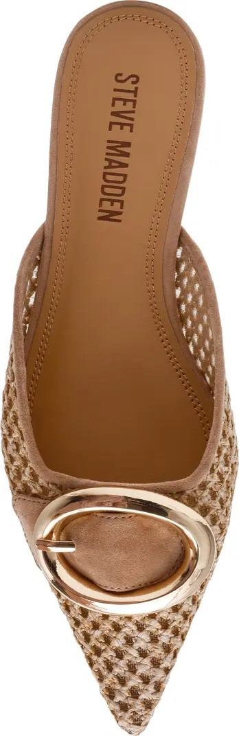 Steve Madden Ira Pointed Toe Mule (Women) | Nordstrom | Nordstrom