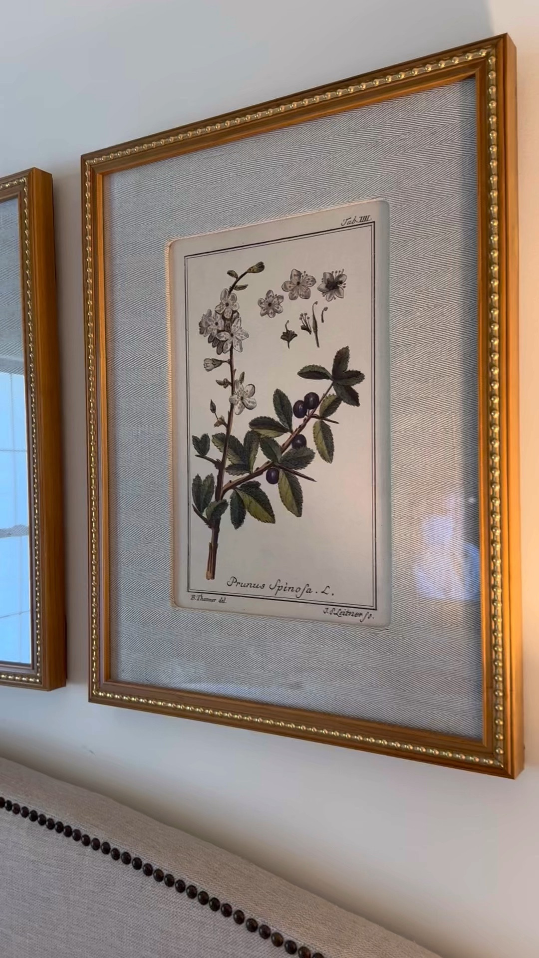 Looking for the perfect moment to elevate and upgrade your home space? Now’s the time! Wayfair has all of the best styles for a cozy, comfortable home on any budget! #WayfairPartner

I added these botanical art pieces to our bedroom and adore how they turned out! The linen matte frame is beautiful! 
@Wayfair #Wayfair 

#LTKVideo #LTKHome
