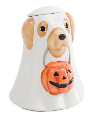 8x10 Golden Lab Ghost Treat Jar | TJ Maxx
