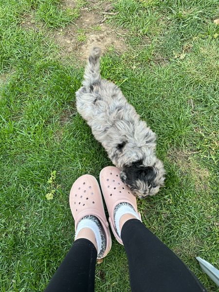say what you will about crocs, but they are the perfect gotta-take-your-dog-outside slip-ons

#LTKshoecrush #LTKSeasonal #LTKhome
