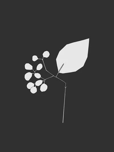 Kumquat | Artfully Walls