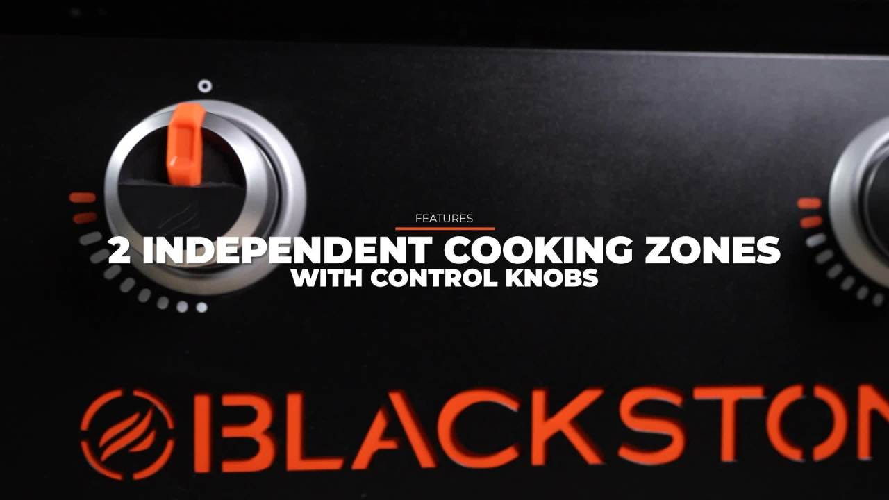 Blackstone Original Outdoor Griddle, 2-Burner 28" Propane Flat Top Grill with Hard Cover, Black | Walmart (US)