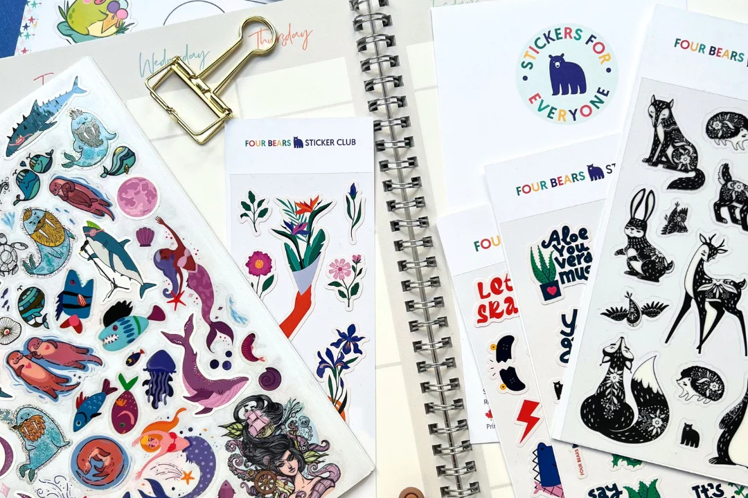 Big Kids Sticker Pack - Cratejoy | Cratejoy