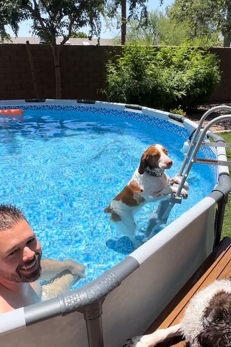 We bought a pool for our dogs 🐕😎💯 Totally worth it 🙌 

#LTKfamily #LTKhome #LTKSeasonal