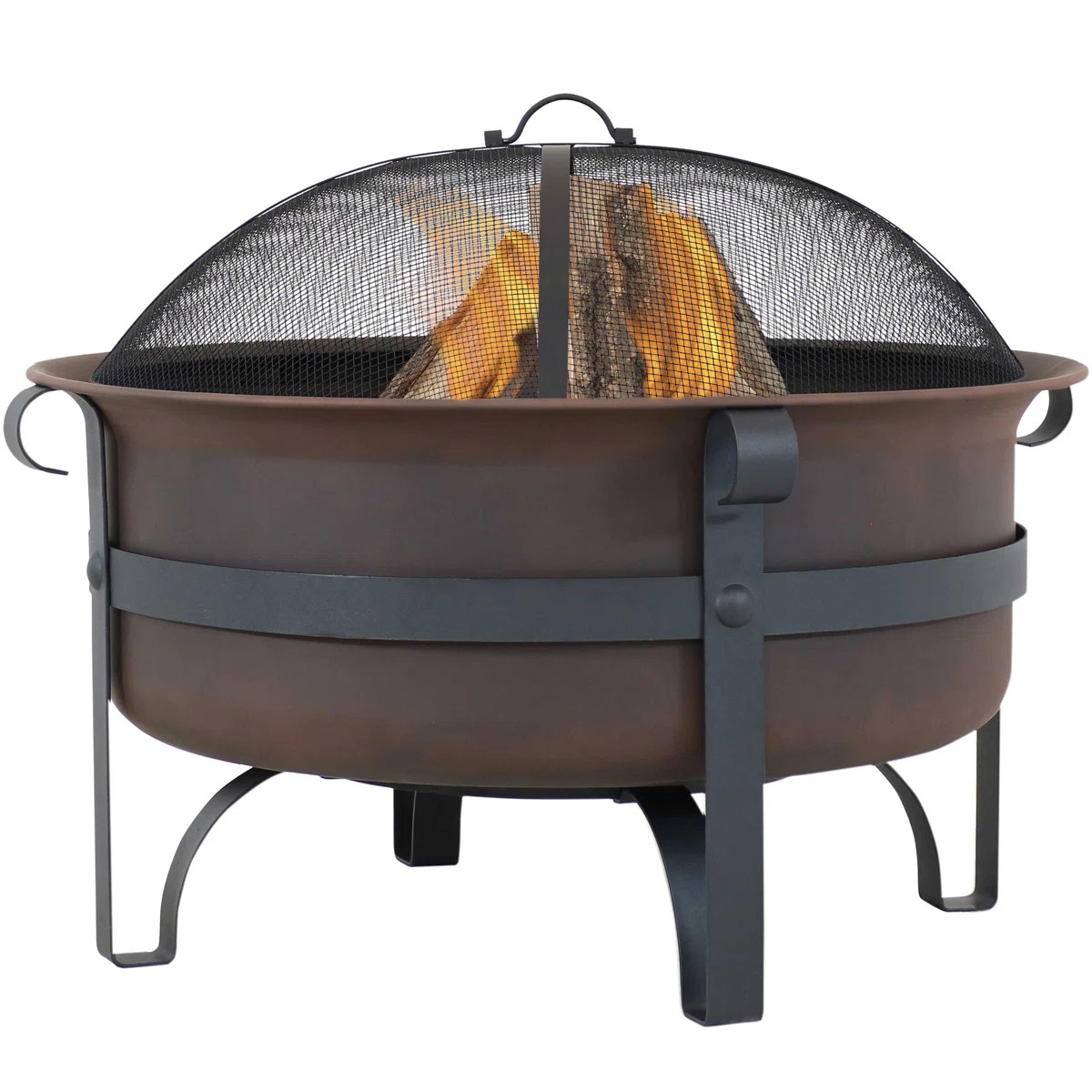 Banesa 29" Round Wood-Burning Bronze Finish Steel Fire Pit Bowl with Spark Screen and Poker | Wayfair North America