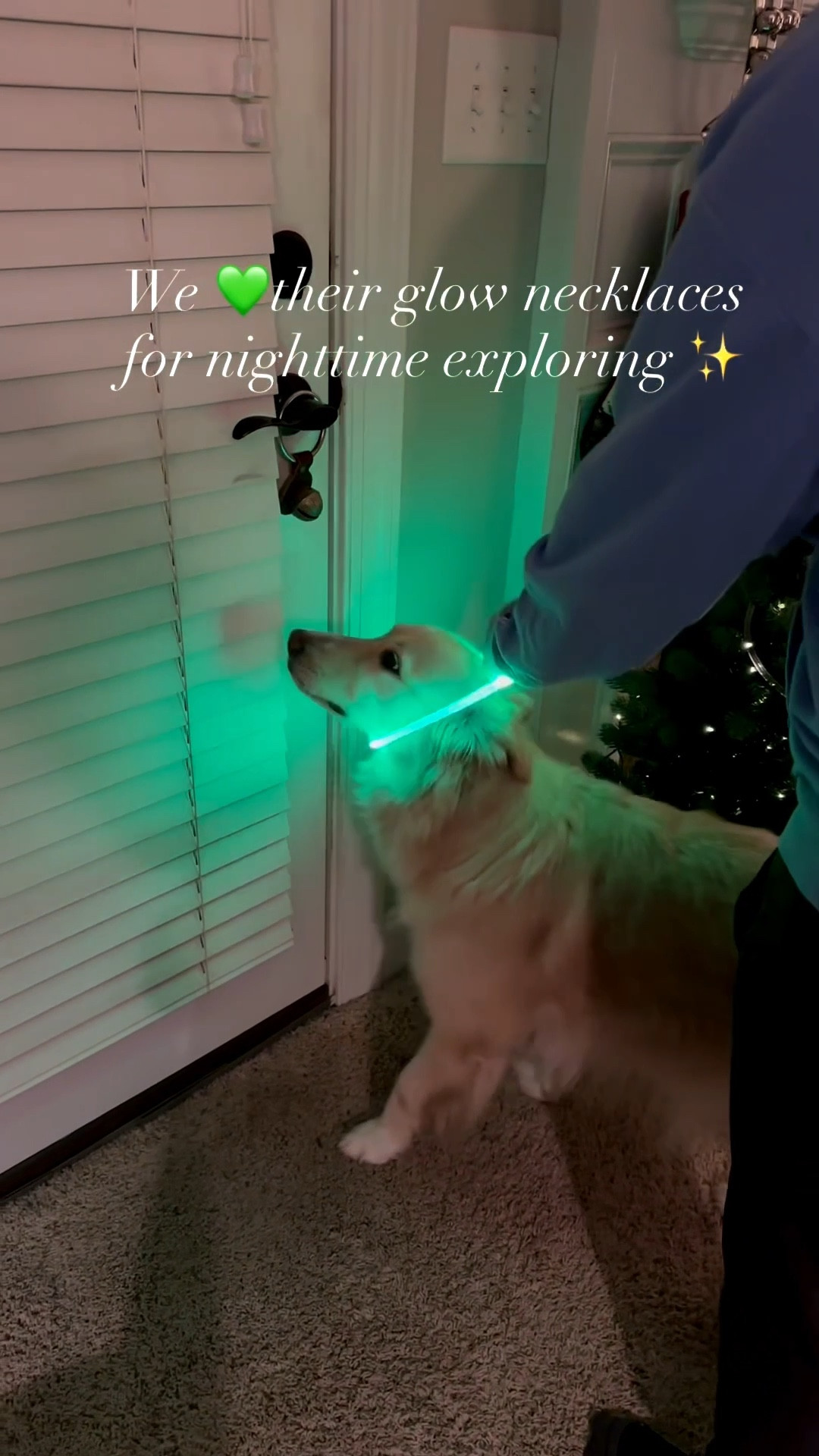 ✨Such a bright idea! We’ve all come to love the pups glow necklaces. 💚  Great for backyard exploring and after dark walks!  No missing them. 

While I’m here… we had this doggy door built into our screen porch & zero regrets. We’ve replaced the flap once since we built in 2011.  And we keep a sleigh bell on our door for their signal to go out. And then we can hear them when they bust back in. 😂
#dogmom #goldenretriever

#LTKHome #LTKActive #LTKmomlife