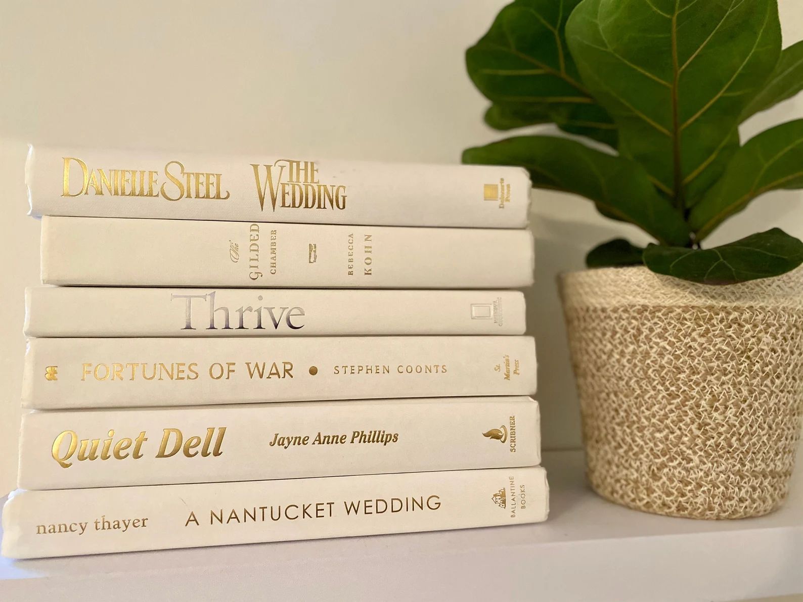 Read the full title
    All White Book Bundle - Decorative Books for Decor (White & Ivory) | Etsy (US)