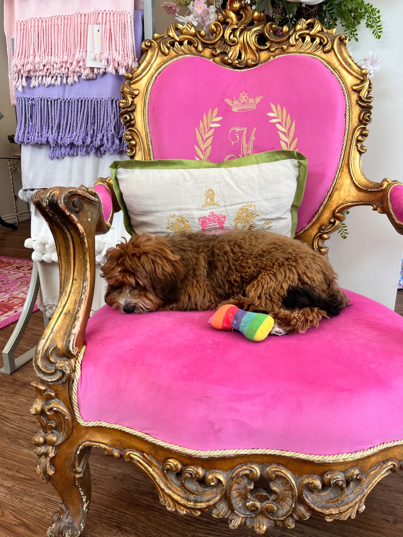 Princess Peach … always a toy close by 🥹 love this Amazon set that comes with so many options! 

#LTKPets