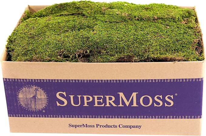 SuperMoss (21508) Preserved Sheet Moss, Fresh Green, 5 Pounds | Amazon (US)