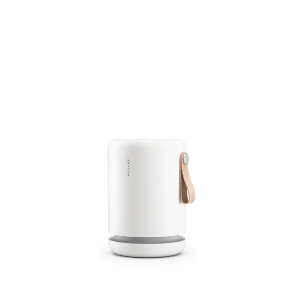 Air Mini+ with PECO-HEPA Tri-Power filter | Molekule
