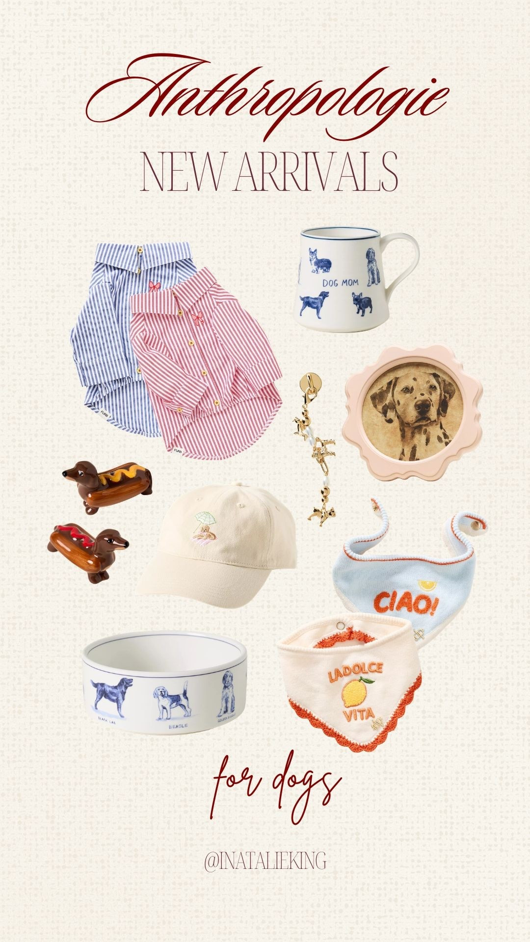Summer Outfits and Decor for Dogs!

#LTKdayinmylife #LTKU #LTKHome