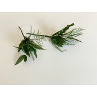 Eucalyptus Hair Pick-Greenery Hair Picks-Greenery Pin - Wedding/Bridal Picks-First Communion Pin-Flo | Etsy (US)