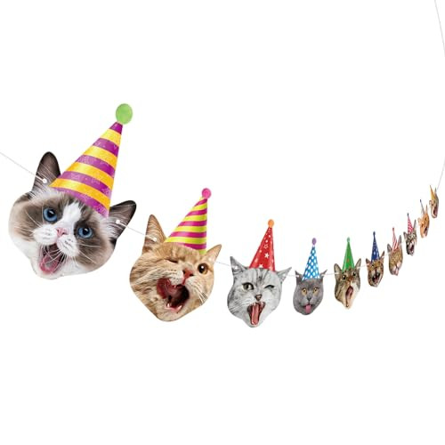Hooqict Cat Birthday Banner Birthday Party Decorations for Backdrop Cat Happy Birthday Banner Garland Sign for Girls Boys Kids 1st 2nd 3rd Party Supplies Hanging Decor | Amazon (US)