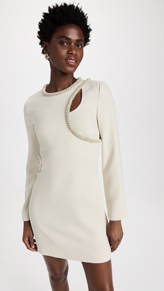 Katharine Diamante Embroidery Cutout Mini Dress | Shopbop