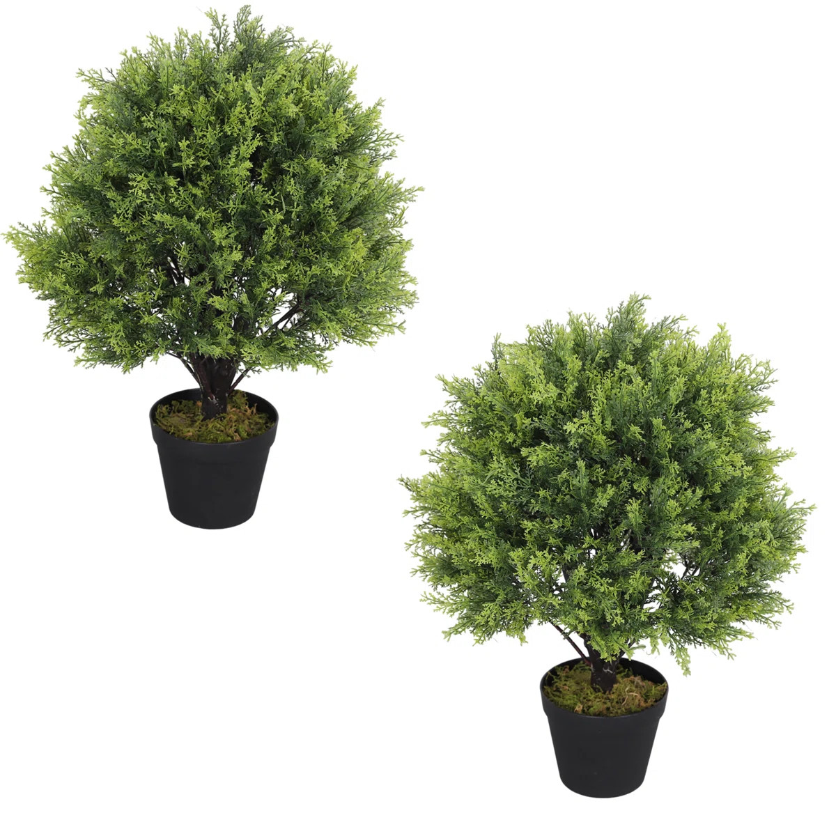 Levine Artificial Topiary Cedar Ball Tree 24'' Fake Cedar Potted Plants (Set of 2) | Wayfair North America