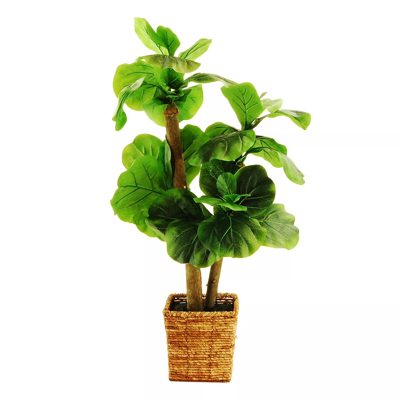 Designs by Lauren Artificial Fiddle Leaf Fig Tree, Green, BOTANICAL | Kohl's