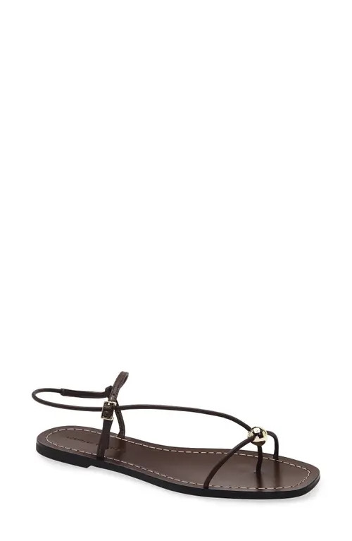 Loeffler Randall Lara Ankle Strap Sandal in Espresso at Nordstrom, Size 11 | Nordstrom