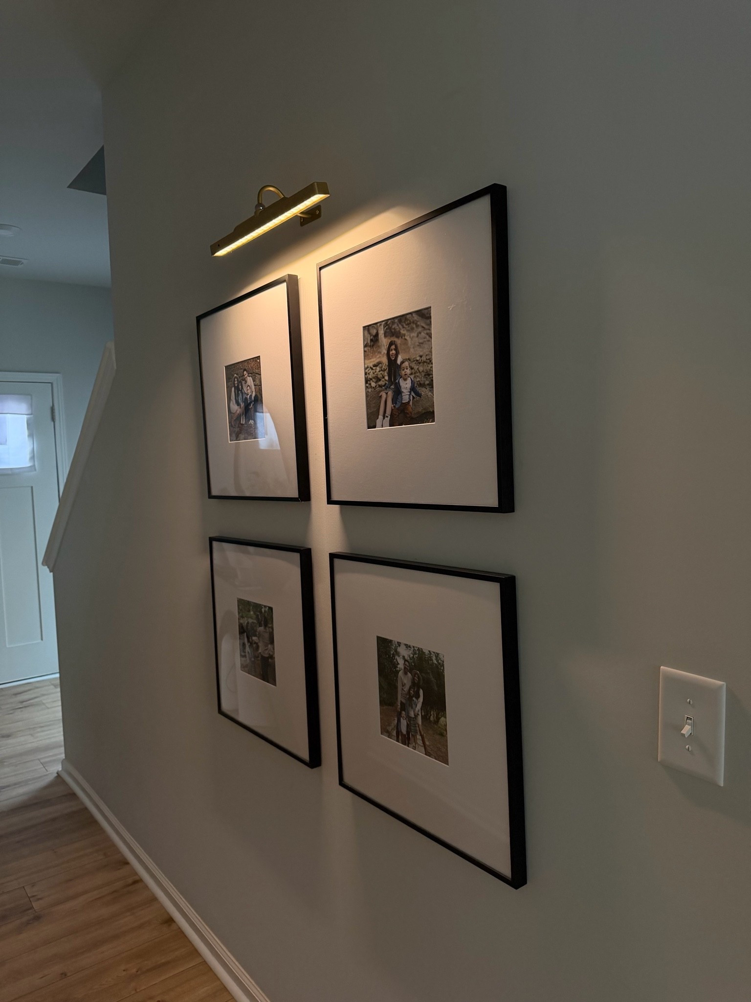 Affordable picture light under $20

#LTKMothersDay #LTKHome #LTKdayinmylife