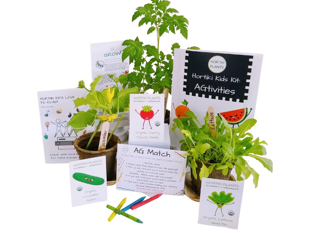 Kid Organic Garden Kit, STEM Toy, Educational Toy, Science Toy, Learning Toy, | Etsy (US)