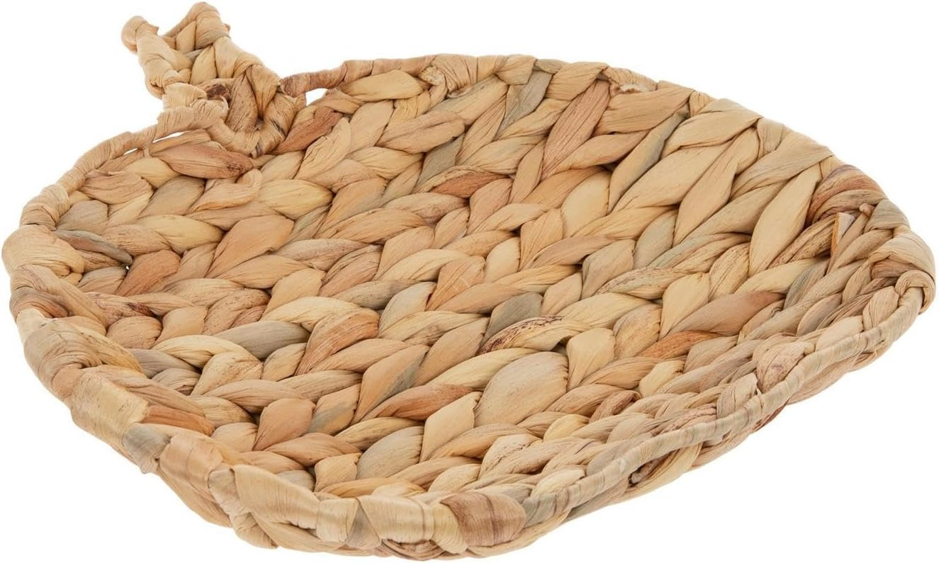 Hobby Lobby Pumpkin Water Hyacinth Decorative Tray, Natural, Harvest Centerpiece (Small 11.25") | Amazon (US)