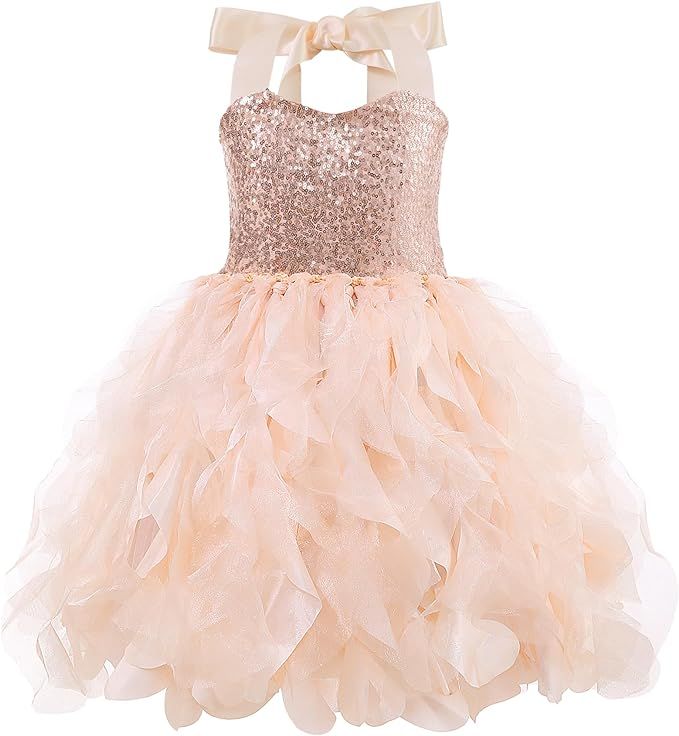 Tutu Dress for Girls Sparkly Sequin Tulle Princess Birthday Party Prom Outfit Toddler Girls Sneak... | Amazon (US)
